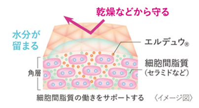 乾燥などから守る