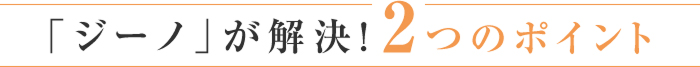 「ジーノ」が解決！2つのポイント