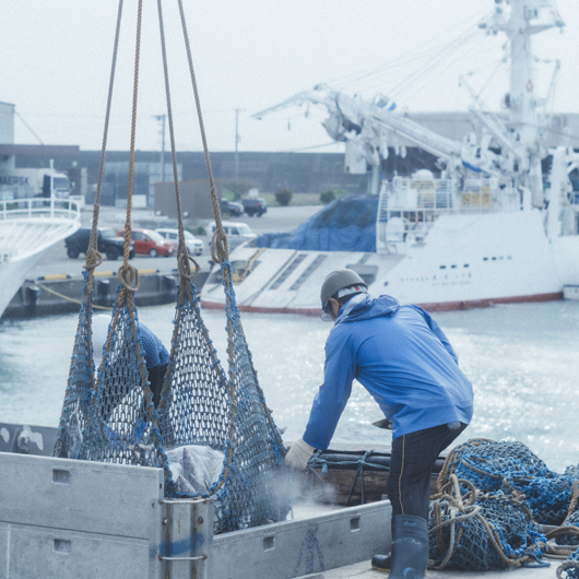 燻すかつおも、香りとうま味が凝縮された脂の少ないものだけを厳選。