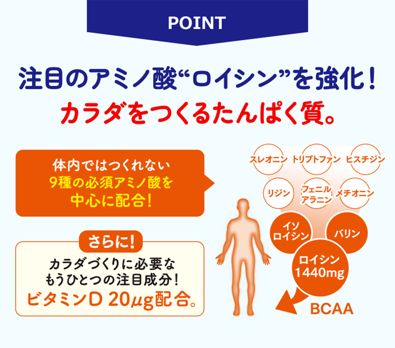 注目のアミノ酸“ロイシン”を強化！カラダをつくるたんぱく質。