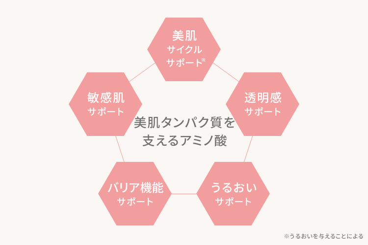 美肌タンパク質を支えるアミノ酸が