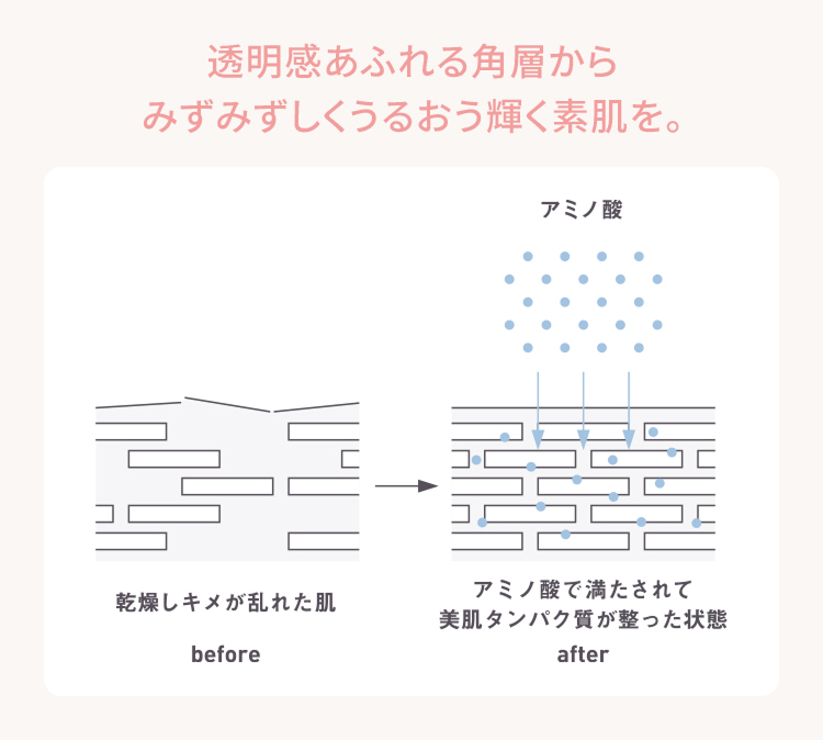 透明感あふれる角層からみずみずしくうるおう輝く素肌を。
