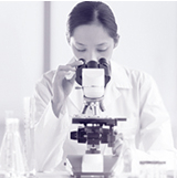 角層細胞のつながりから着想を得た、「アミノ美肌理論®」に基づくその場しのぎでない、根本的なケア※。