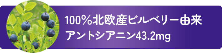 100％北欧産ビルベリー由来アントシアニン43.2mg