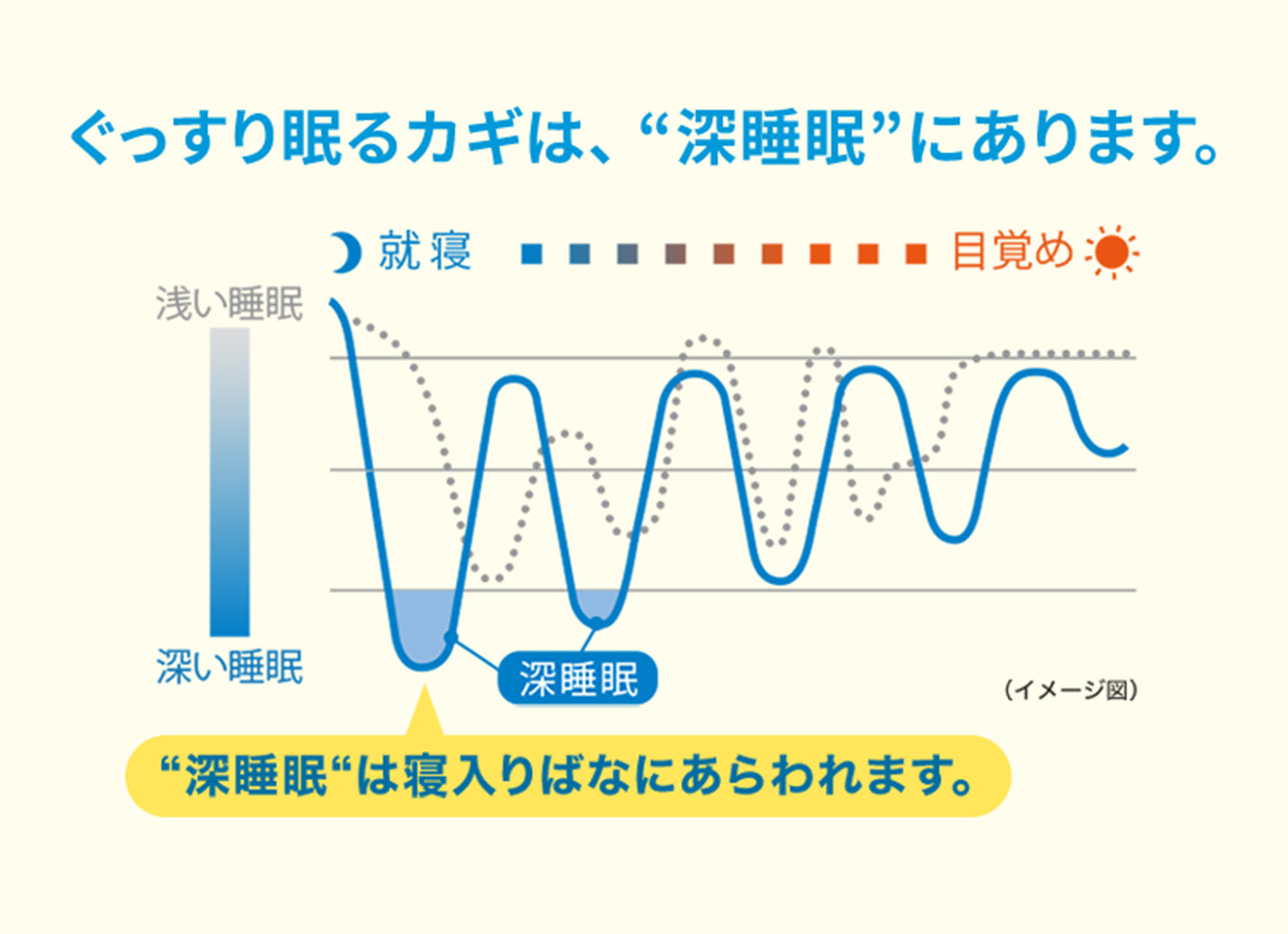 ぐっすり眠るカギは、 “深睡眠”にあります。