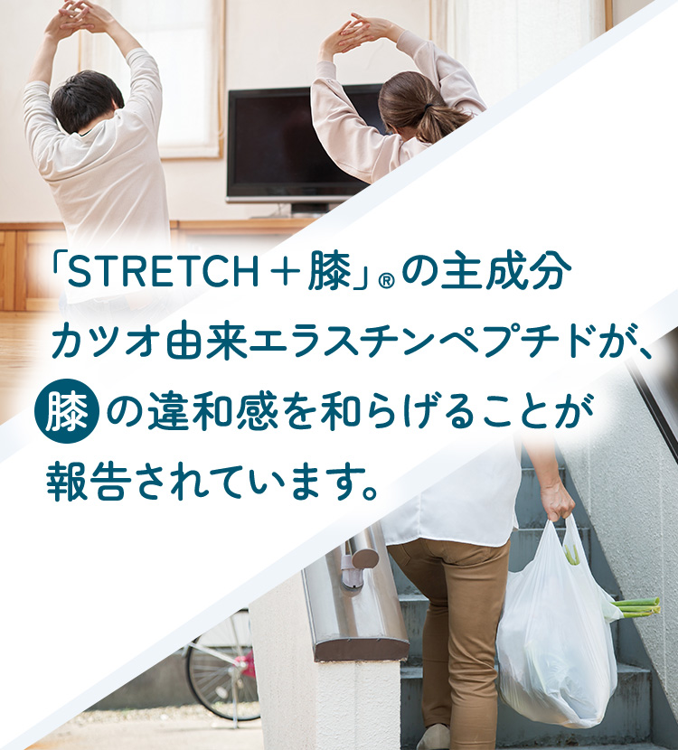 「STRETCH+膝」®の主成分カツオ由来エラスチンペプチドが、膝 の違和感を和らげることが報告されています。