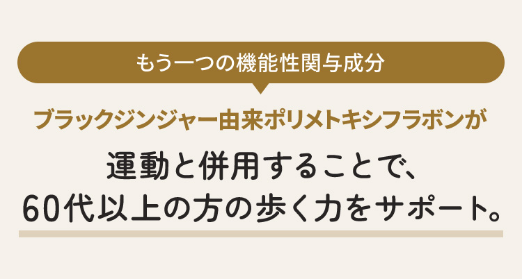 もう一つの機能性関与成分