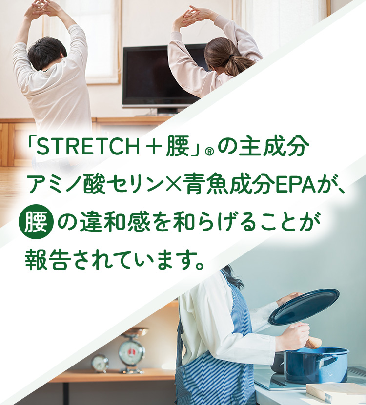 「STRETCH+腰」®の主成分アミノ酸セリン×青魚成分EPAが、腰 の違和感を和らげることが報告されています。