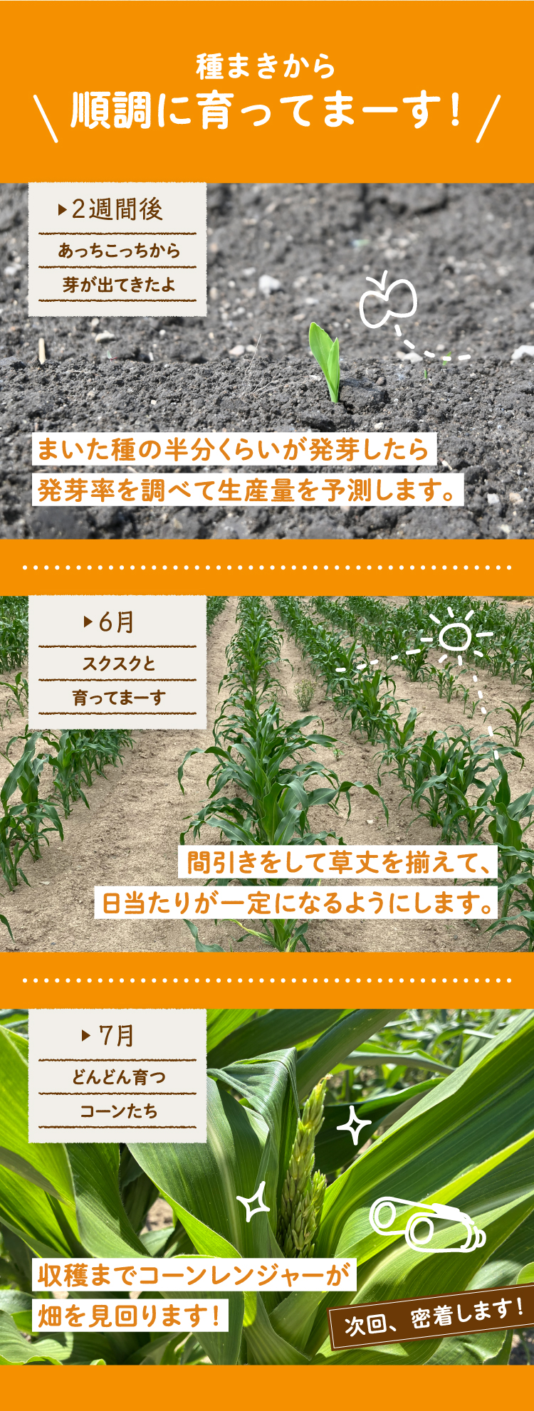 種まきから順調に育ってまーす！