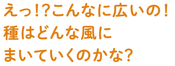 えっ！？こんなに広いの！種はどんな風にまいていくのかな？