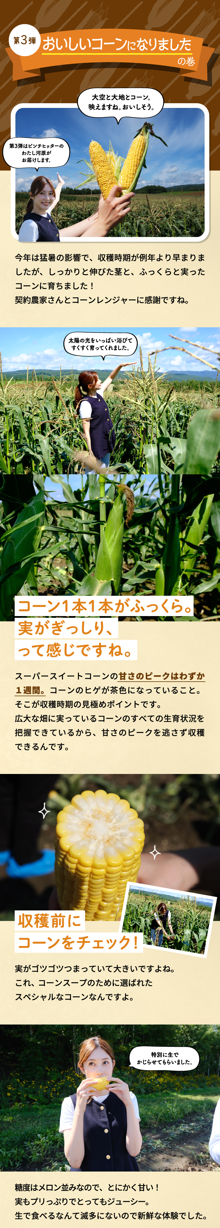 第3弾おいしいコーンになりました