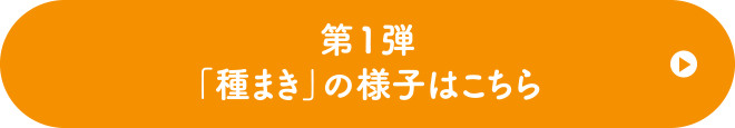 第1弾の種まきの様子はこちら